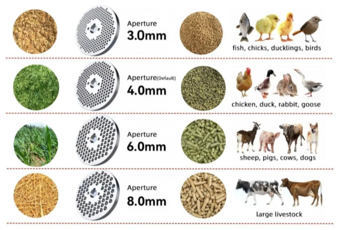 1-2t/h Animal Feed Pellet Production Line