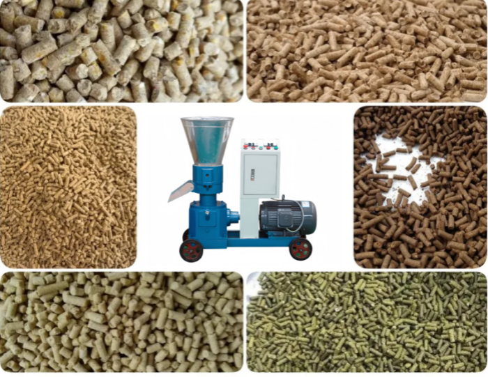 600-800kg/h Animal Feed Production Line 